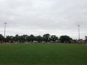 At another @CollingwoodFC training session at Gosch’s Paddock. 16.3 degrees & looks like it’s gonna rain soon